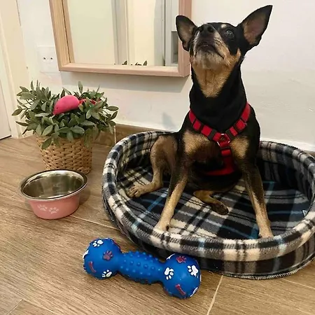 Apartment El Refugio Del Viajero Torremolinos