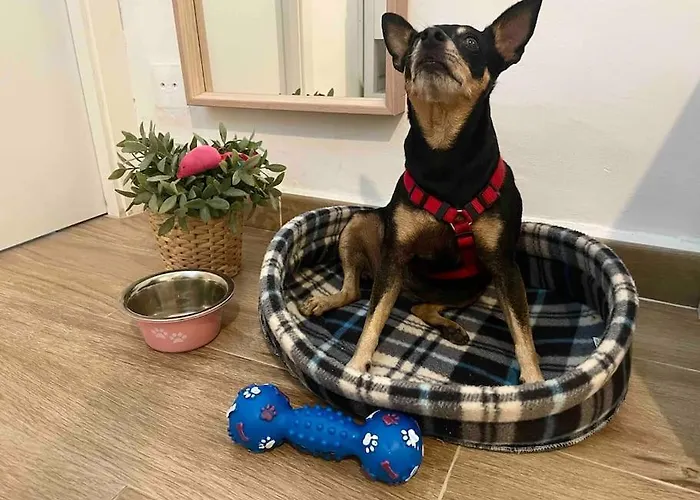 Lägenhet El Refugio Del Viajero Torremolinos